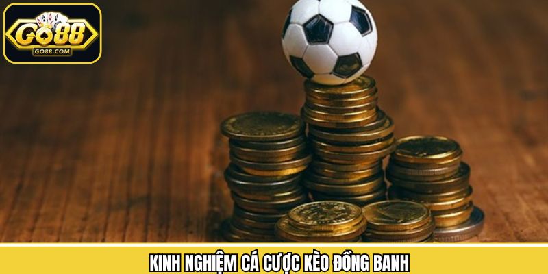Tổng hợp những mẹo cược hay giúp tăng cơ hội thắng