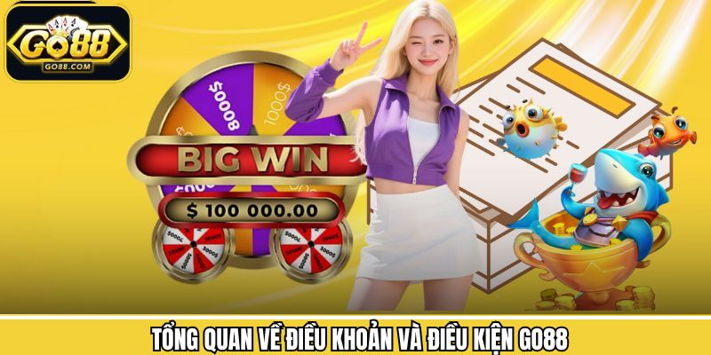 Thông tin cơ bản về điều lệ và nguyên tắc của cổng game